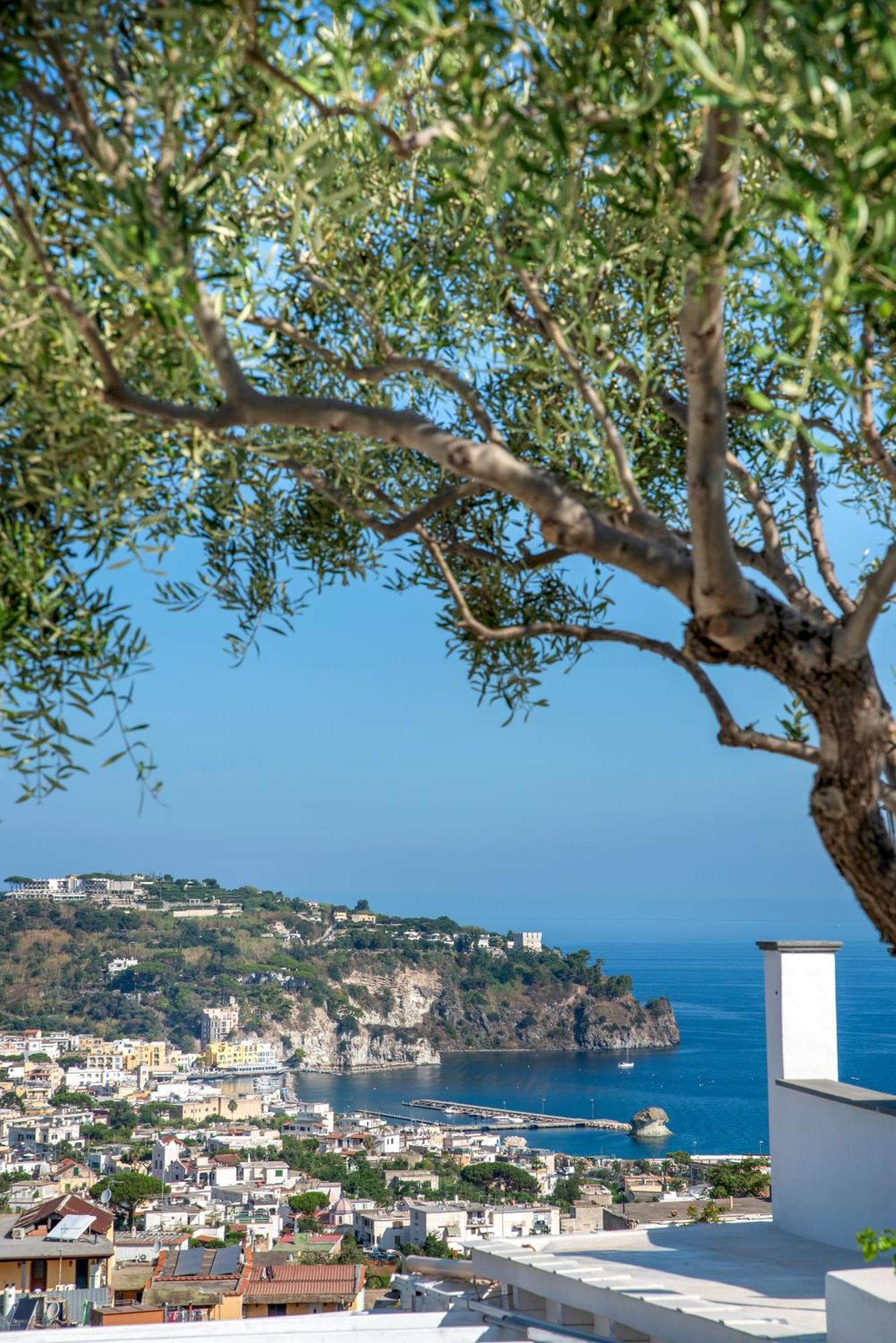 Hotel Bel Tramonto Casamicciola Terme Екстериор снимка